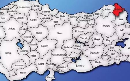 Ardahan Damal İlçesinde Gezilip Görülecek Yerler! Damal da Gezilecek Yerler!