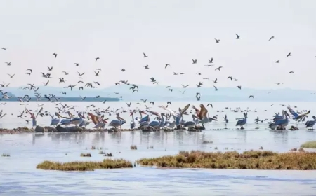 Afyonkarahisar Başmakçı' da Gezilecek Görülecek Yerler!!!