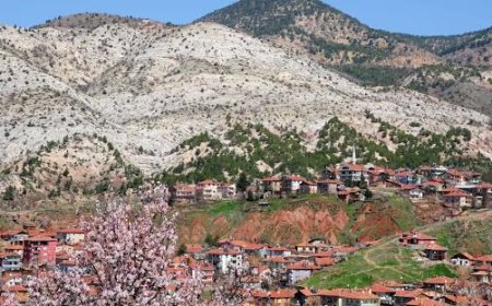 Ankara Nallıhan'da Gezilecek Görülecek Yerler!!!