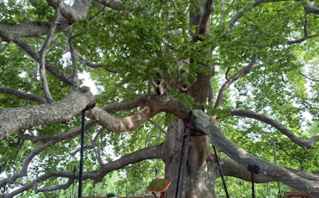 Bursa Büyükorhan'da  Gezilecek Görülecek Yerler!!!