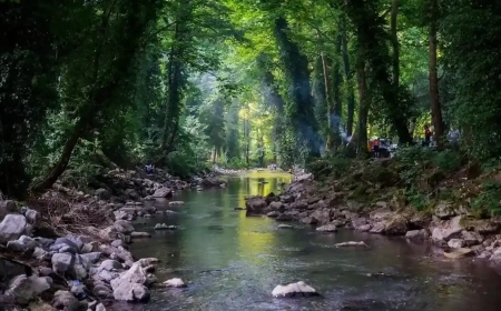 Sakarya Ferizli’de Gezilecek Görülecek Yerler ?