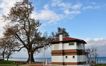 Yalova Altınova’da Gezilecek Görülecek Yerler ?