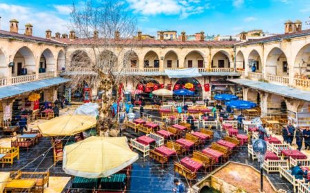 Şanlıurfa Ceylanpınar Gezilecek Görülecek Yerler ?