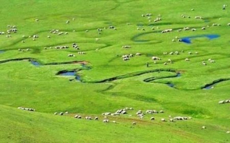 Erzurum Tekman' da Gezilecek Görülecek Yerler!!!