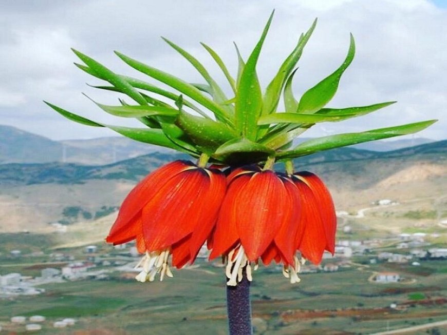 Adıyaman Sincik' de Gezilecek Görülecek Yerler!!!