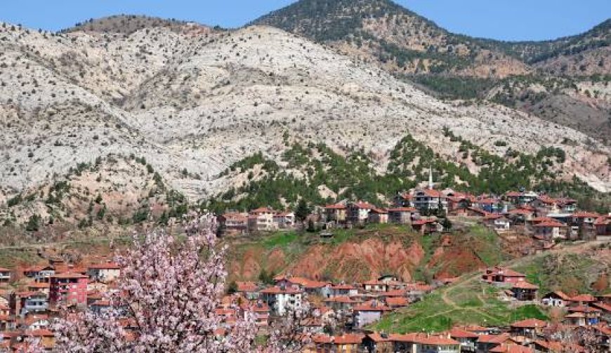 Ankara Nallıhan'da Gezilecek Görülecek Yerler!!!