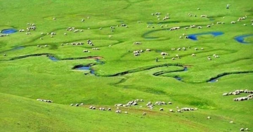 Erzurum Tekman' da Gezilecek Görülecek Yerler!!!