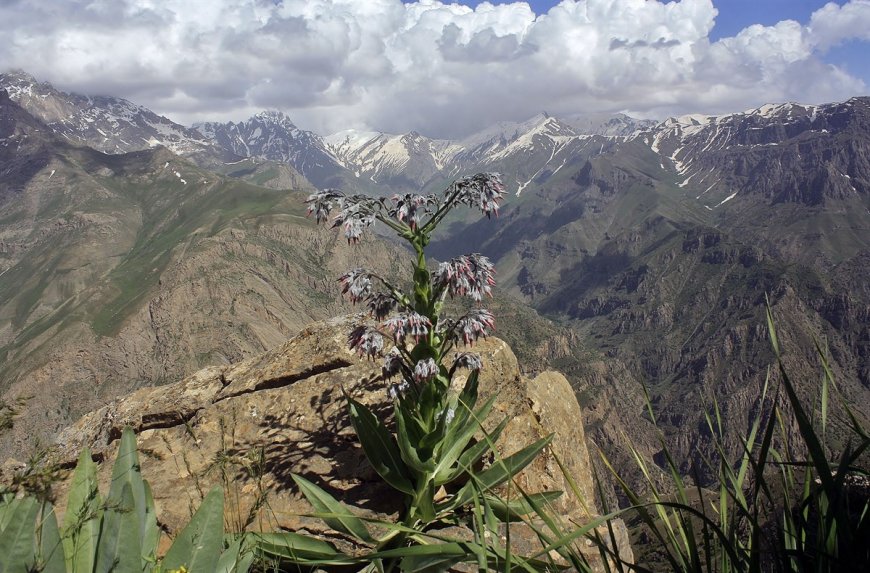 Hakkari Şemdinli' de Gezilecek Görülecek Yerler!!!