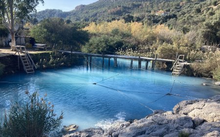 Muğla Köyceğiz Sultaniye Kaplıcaları Ve Özellikleri