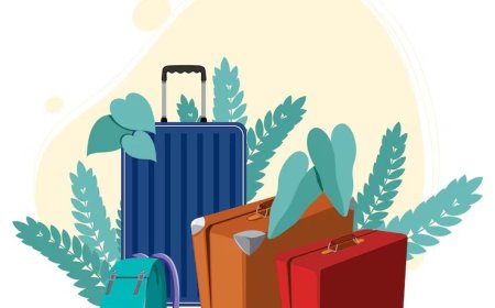 Ordu'da Bir Gün: Lezzet Durakları ve Gezi Rehberi