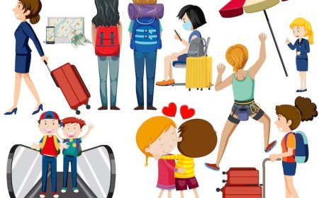 Evcil Hayvan Oteli mi, Yoksa Alternatif mi? Gezginlerin Karar Verme Rehberi