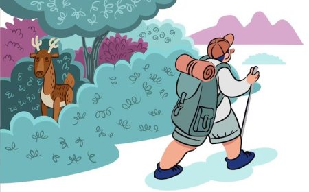 Frig Vadisi Köy Konaklaması: Unutulmaz Bir Deneyim İçin İpuçları