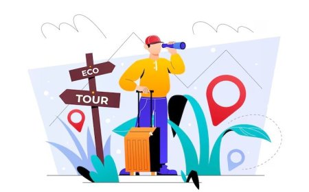 Türkiye'nin En İyi Köy Kahvaltısı Mekanları: Lezzet Durakları Rehberi