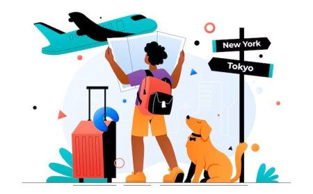 Kalabalık Saatlerde Toplu Taşımaya Alternatif Ulaşım Rehberi: İstanbul Örneği