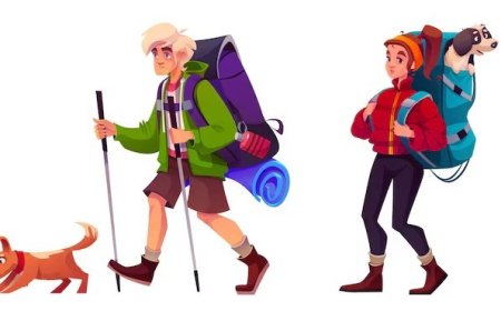 Yurtdışı Toplu Taşıma Kartları: Şehirleri Keşfetmenin En Akıllı Yolu