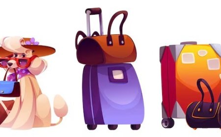 Hatay St. Pierre Kilisesi Gezi Rehberi: Tarihi Atmosferde Lezzet ve Keşif