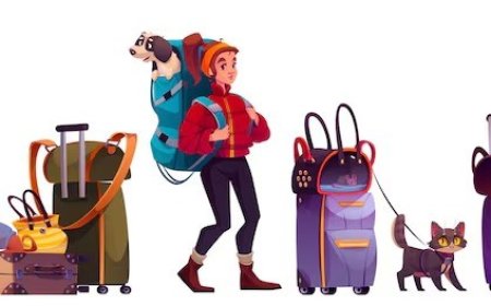 Mısır Piramitleri Güvenli Mi? Gezi Rehberi ve Seyahat İpuçları